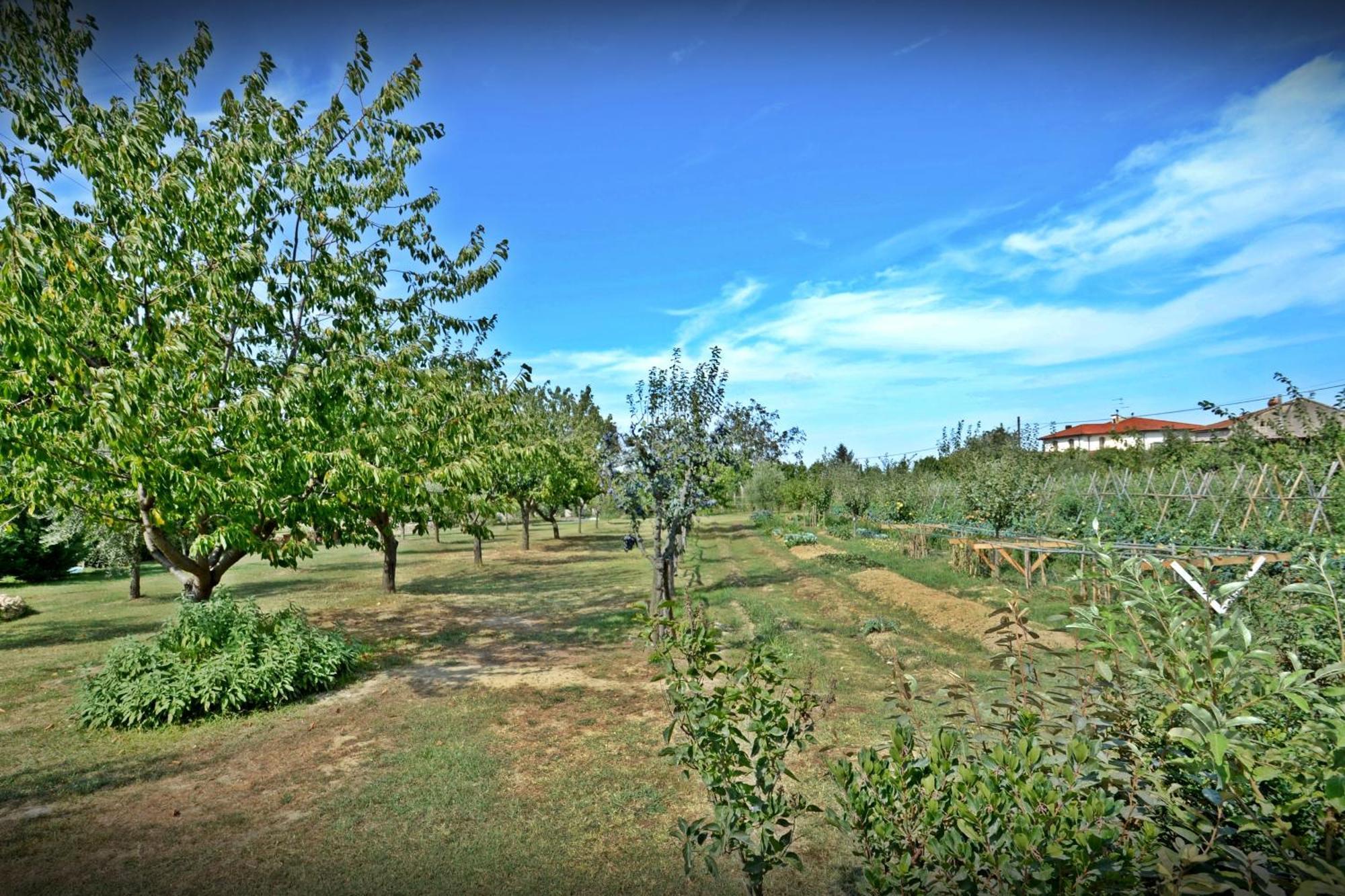Cevoli Country Resort Lari Exterior photo
